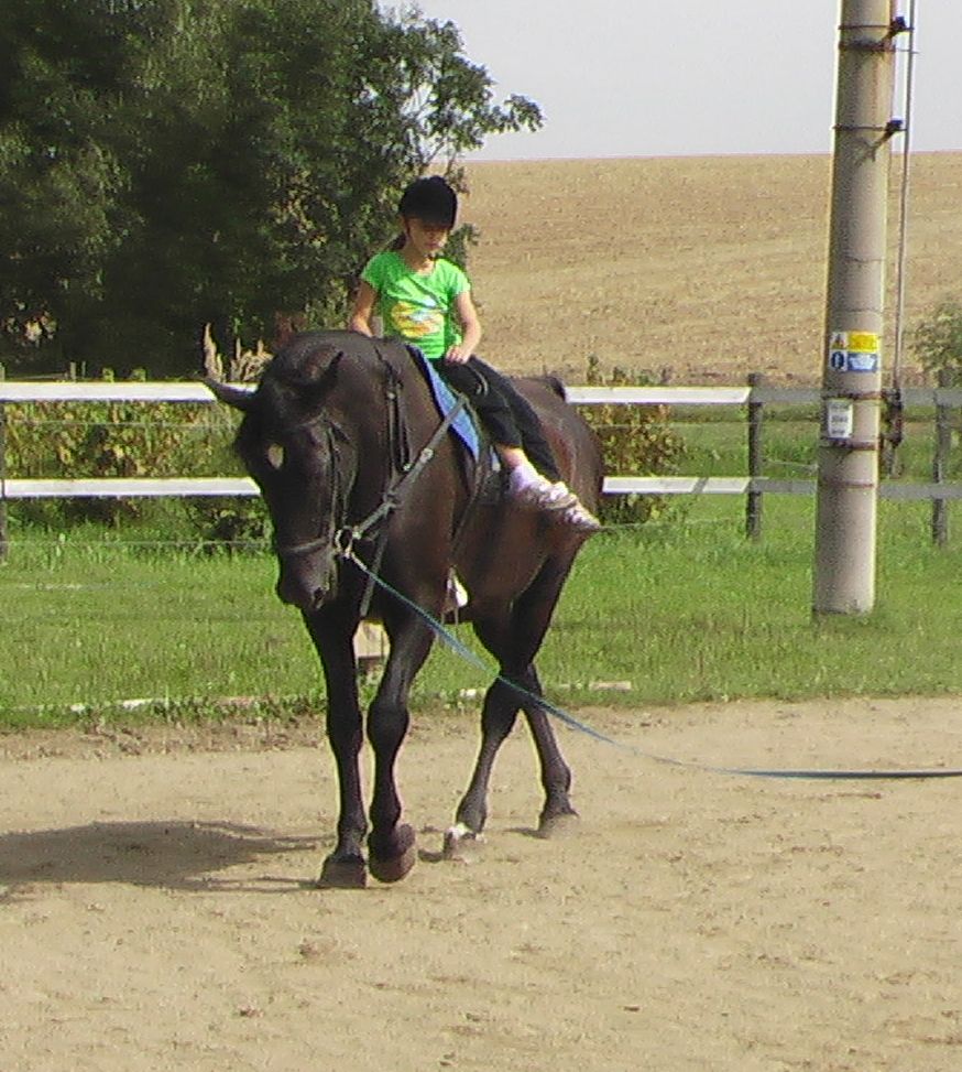 Dakin - cvičení  na koni 2011